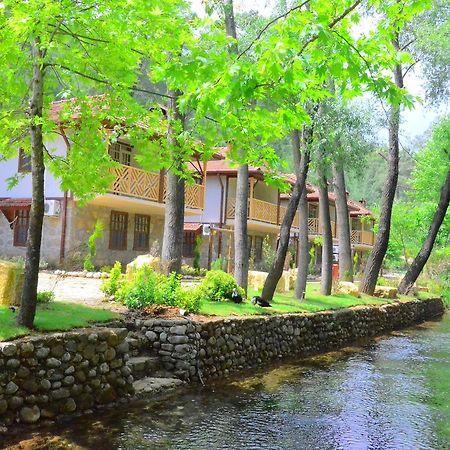 Eco Family Park Hotel Beskonak Exterior photo