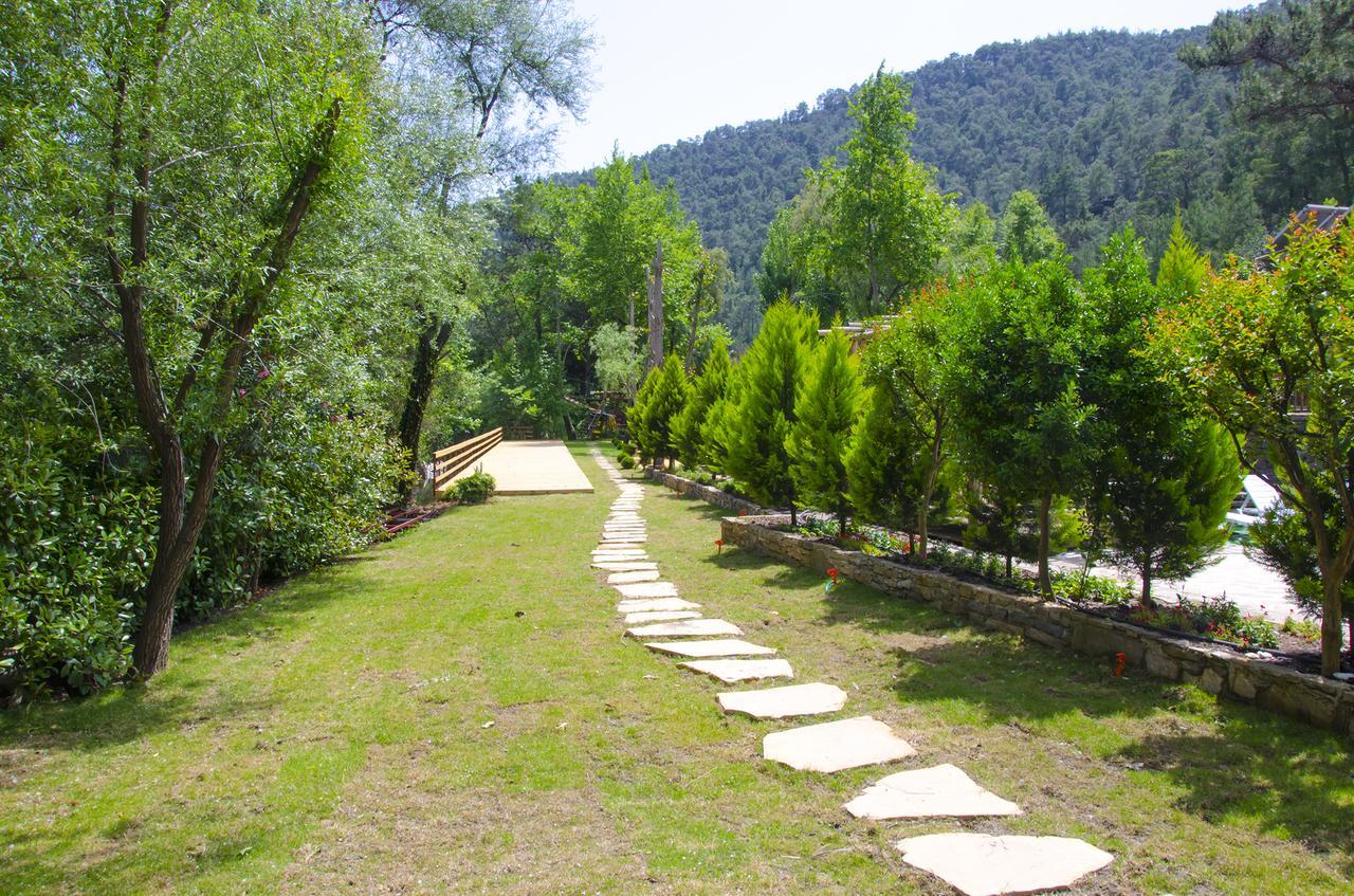 Eco Family Park Hotel Beskonak Exterior photo