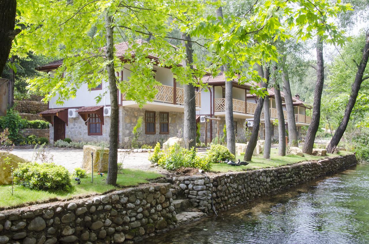 Eco Family Park Hotel Beskonak Exterior photo